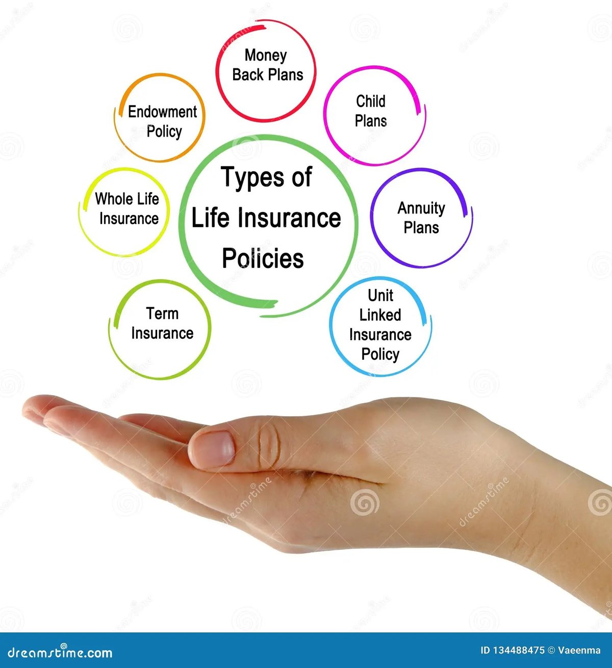 Types of Life Insurance: Value & Trade-Offs for Your Coverage